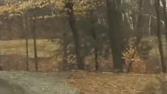 Two twinks drilling Their anal With throbbing Coks