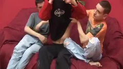 Three gay twinks enjoy A hawt Afternoon Sex orgy
