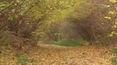 almost all spermd friends