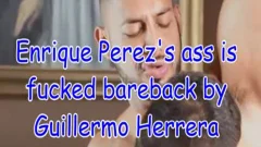 Inside Enrique Perez's anus