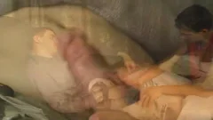 twink Have pleasure With pecker