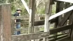 juicy Latino homo unprotected ass hammering Scene