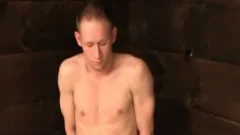 Edged twink
