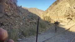 guy Bicycle Ride nude Un-edited