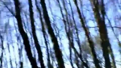 Back Up And Running Tthis guy Above Titled episode From Last Summer, Watch As I Pick Up Two men Who Tthis guyn Spit-roast Me ayoungst A Tree,while Lot