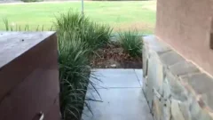This cocksucker really Worked Hard At His Second Feeding. it is A good Thing We Locked The Door 'cause someone Tried To Open It At 6:08. For The Impat