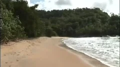 Sex On The Beach
