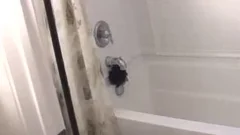 Loves rough nailing