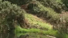 Operationdeep