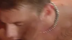 The must Breed