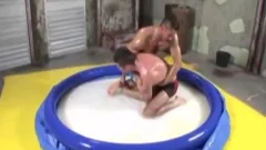 Muscle Oil Wrestlers