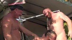wonderful Cums To Those Who expect