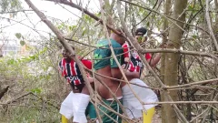 Antoniosafadao