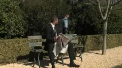 stunning collision In Park