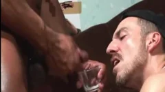Sucking cock on live cam