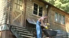 Atraction In The Forest