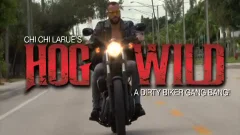 Hog fine (full clip)