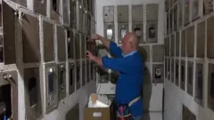 Working Over Time