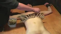 Brkng Pt