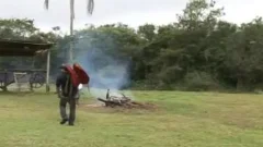 Brazilian Horsemeat