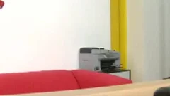 Bug Ddy