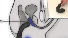 homosexual try a G Spot stimulator
