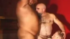 fat mature Bear trio