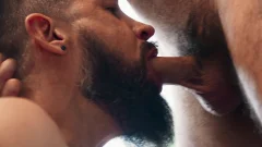 Bromo: Two Hairy Studs Set on Each Other's Asses