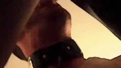 &nbsp;