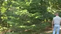 Hiry Bar And Cub Mating In delicious Nature