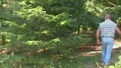hirsute Bear And Cub Mating In hoety Nature