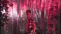 STAKE DANCE AND three-some SEX DANCE
