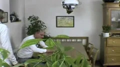 nasty blond boys suck knob and plow