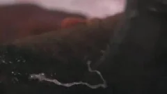  giant black schlong