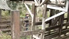 Latino Barebacking Barn plow
