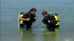 Divers