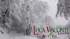LucaVisconti THE LITTLE SWISS SAILOR