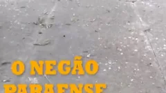 O Negao Pernambucano