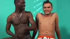 This twink receives plowed By A black man
