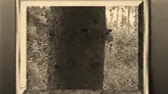 old Jerking Vid From Tape, Poor Quality.\nSo I Make It Vintage Art
