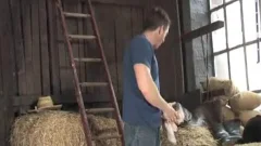 Little Nuts
