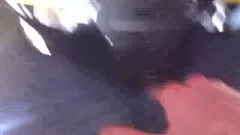 Muscled biker loves rough sex