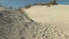 Beach-bums-scene-1