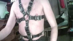clip Training From master