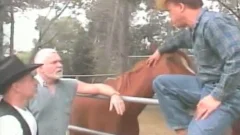 new Cowtwink In Town