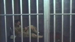 lascivious Bear Prisoners plow And suck