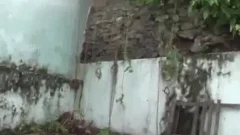Brazil monstrous cock Anh naughty