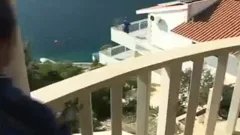 Males plowing At Poolside