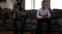 banging stud-horses