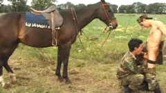 This horse won\\'t ask and he can\\'t tell